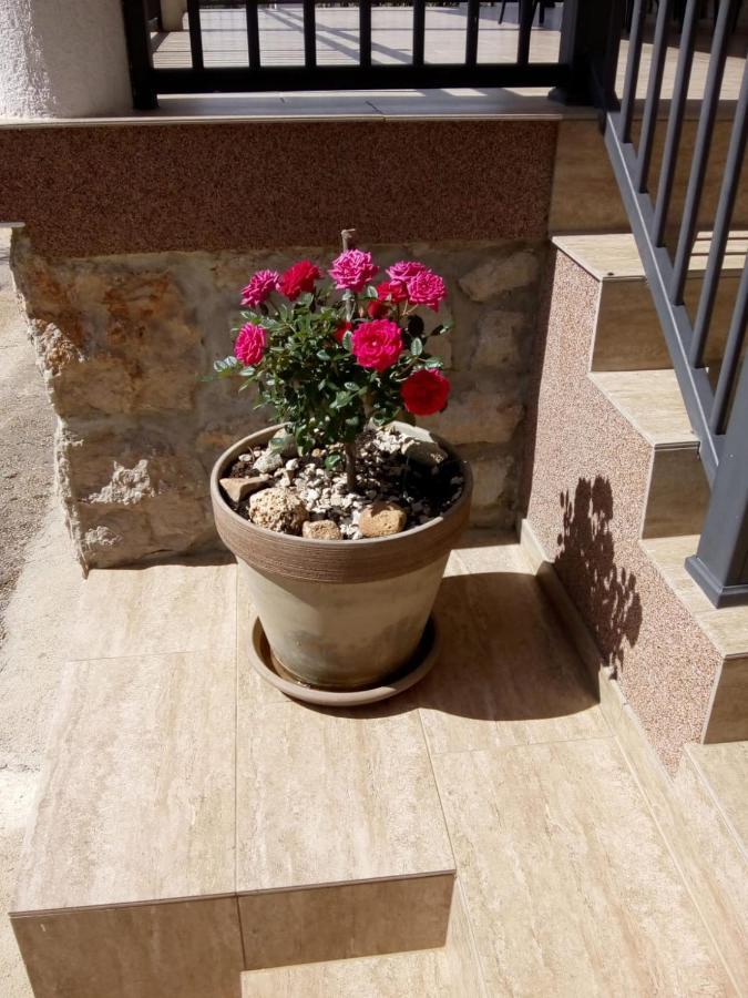 Apartment Plitvice Starigrad Paklenica Exterior photo